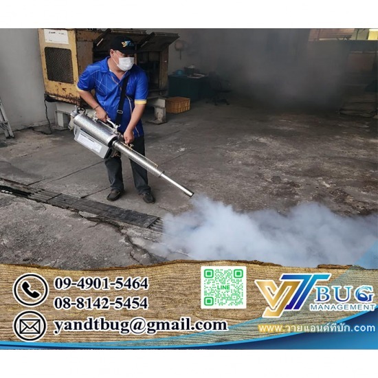 รับกำจัดปลวกและแมลง สมุทรสาคร - บริษัทกำจัดปลวก สมุทรสาคร - วาย แอนด์ ที บัก เมเนจเม้นท์