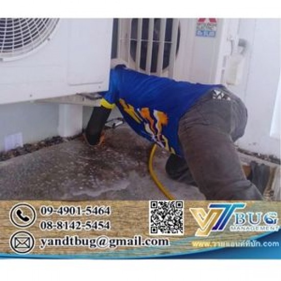 กำจัดปลวก ราคาเท่าไหร่