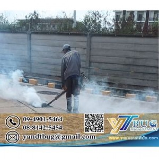 บริษัทรับกำจัดปลวก ราคาถูก
