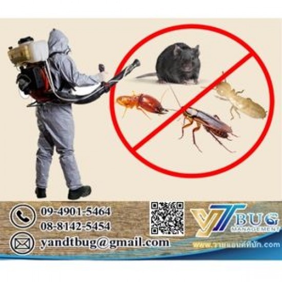 รับกำจัดหนู แมลง