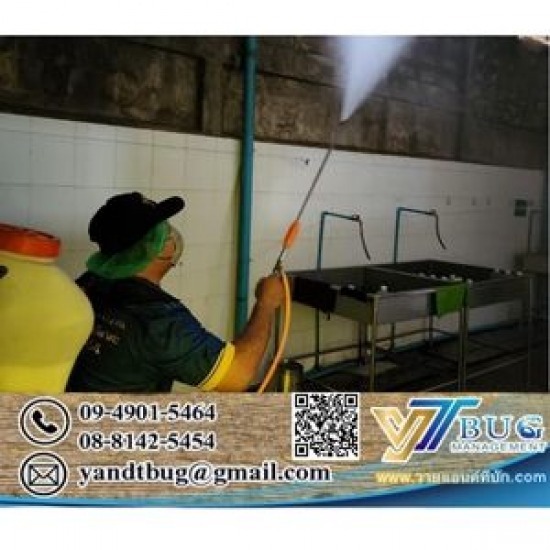 รับฉีดปลวก ราคาถูก - บริษัทกำจัดปลวก สมุทรสาคร - วาย แอนด์ ที บัก เมเนจเม้นท์