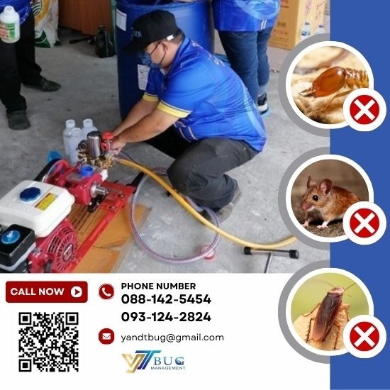บริษัทกำจัดปลวก สมุทรสาคร - วาย แอนด์ ที บัก เมเนจเม้นท์ - บริษัทกำจัดปลวก สมุทรสาคร