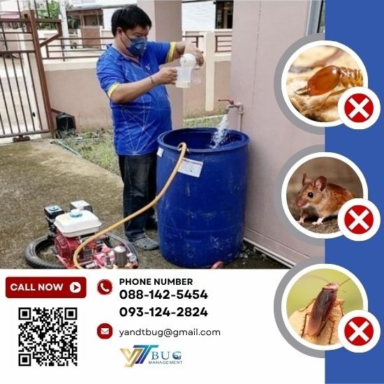 บริษัทกำจัดปลวก สมุทรสาคร - วาย แอนด์ ที บัก เมเนจเม้นท์ - กำจัดปลวกระบบเคมี ราคาถูก