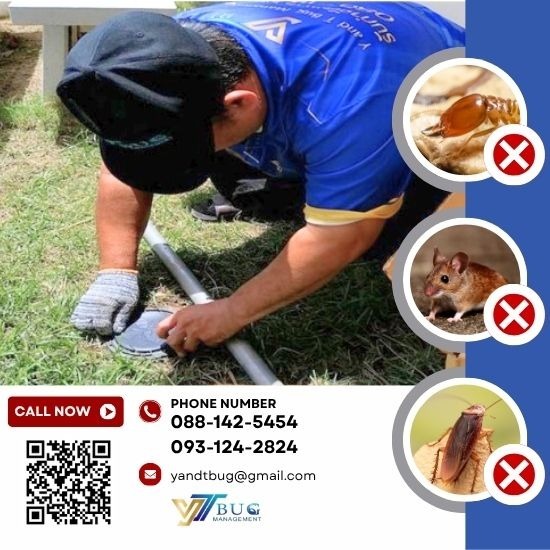 บริษัทกำจัดปลวก สมุทรสาคร - วาย แอนด์ ที บัก เมเนจเม้นท์ - กำจัดปลวกระบบวางเหยื่อ