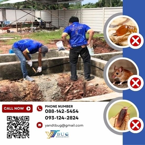 รับวางท่อกำจัดปลวก