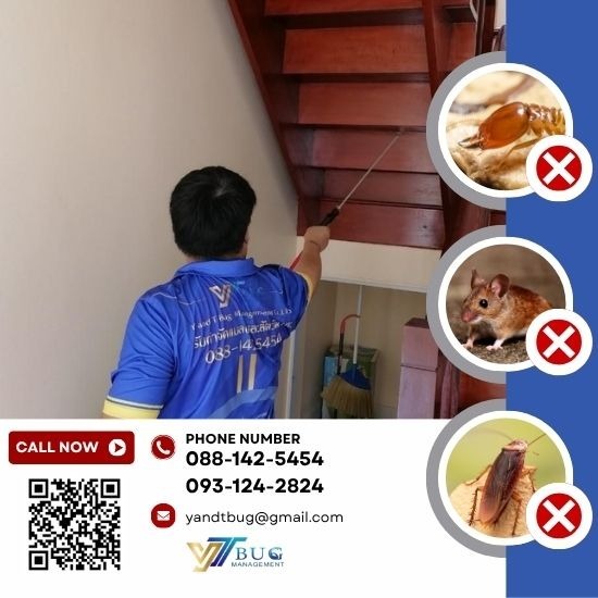 บริษัทกำจัดปลวก สมุทรสาคร - วาย แอนด์ ที บัก เมเนจเม้นท์ - รับกำจัดปลวก ใกล้ฉัน