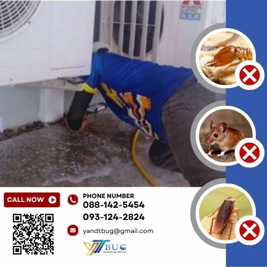 กำจัดปลวก ราคาเท่าไหร่