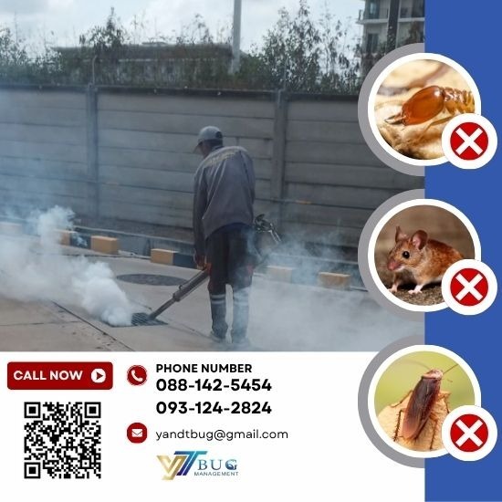 บริษัทรับกำจัดปลวก ราคาถูก สมุทรสาคร