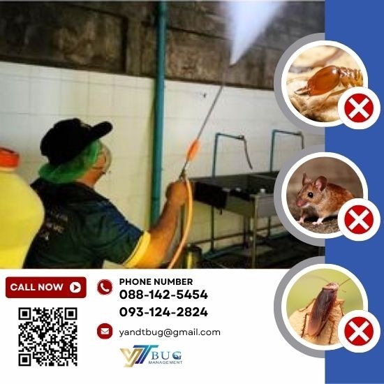 บริษัทกำจัดปลวก สมุทรสาคร - วาย แอนด์ ที บัก เมเนจเม้นท์ - รับฉีดปลวก ราคาถูก