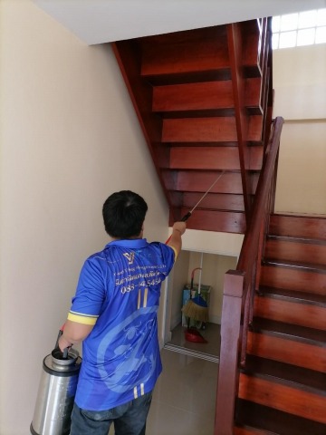 กำจัดปลวกบันไดไม้