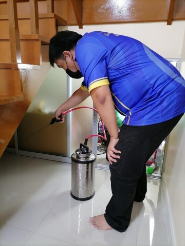 กำจัดปลวกภายในบ้าน